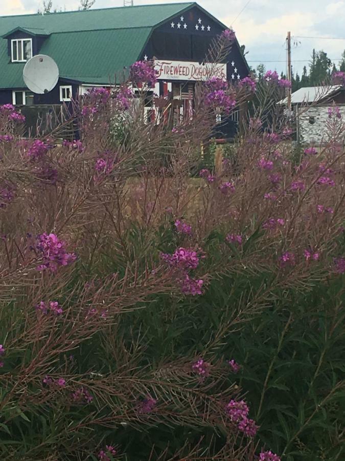 הוילה Nenana Fireweed Roadhouse מראה חיצוני תמונה